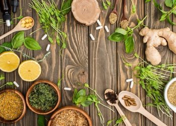Formation de conseiller en naturopathie