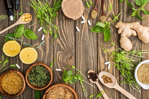 Formation de conseiller en naturopathie